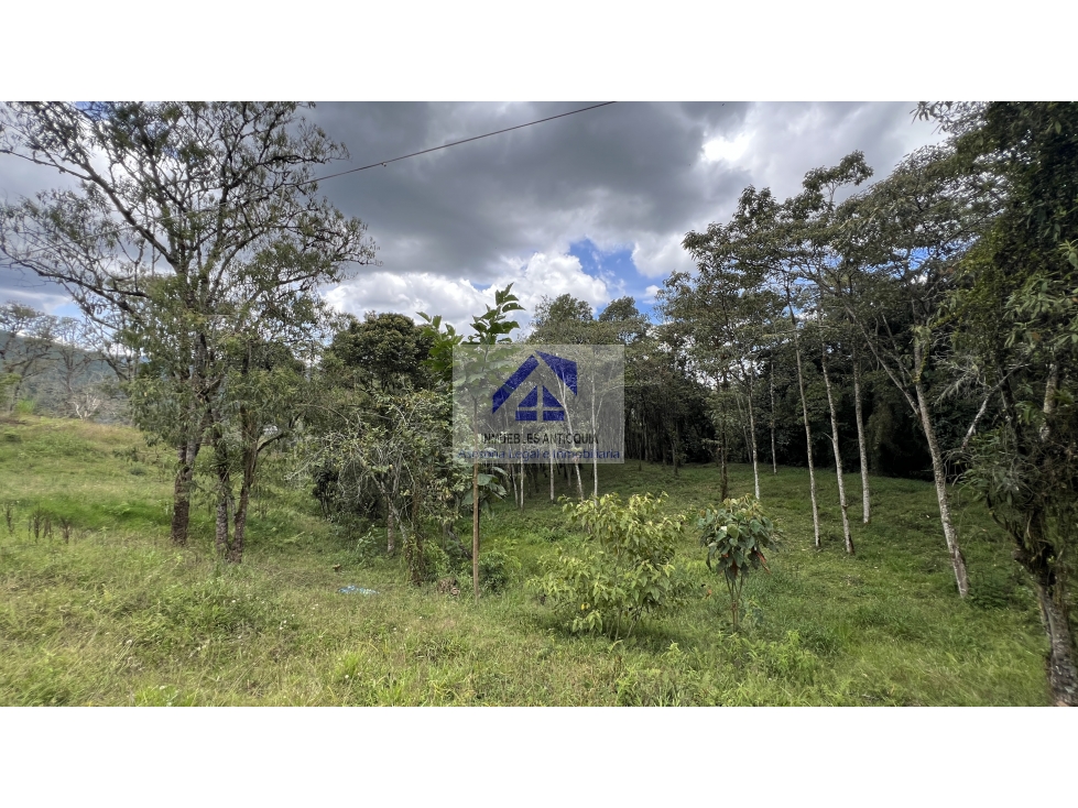 Lote en el Retiro exclusiva parcelación senderos ecológicos foto 8