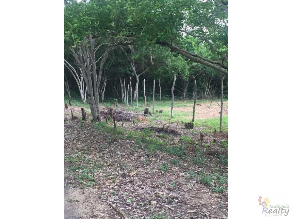 Urban plan Cartagena Colombia PDF