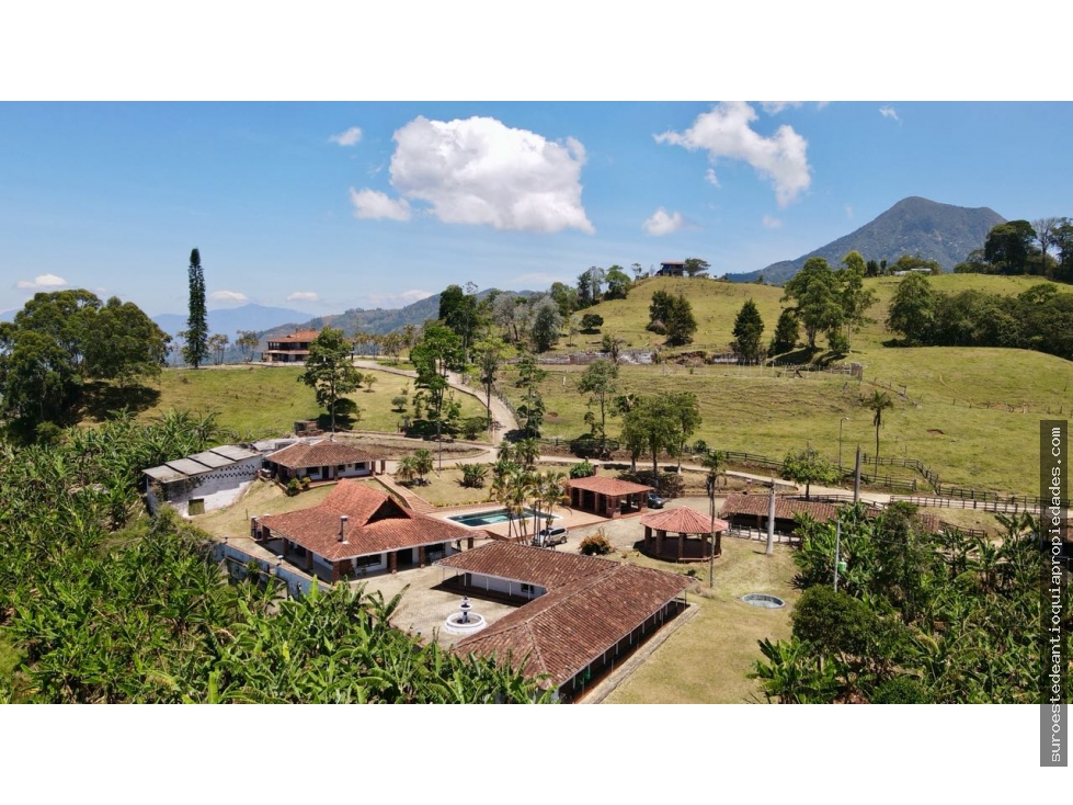 VENTA DE FINCA EN FREDONIA SUROESTE DE ANTIOQUIA