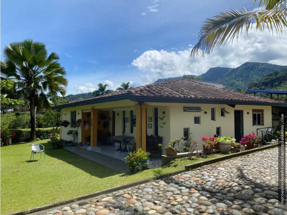Venta de finca en Andes Suroeste de Antioquia