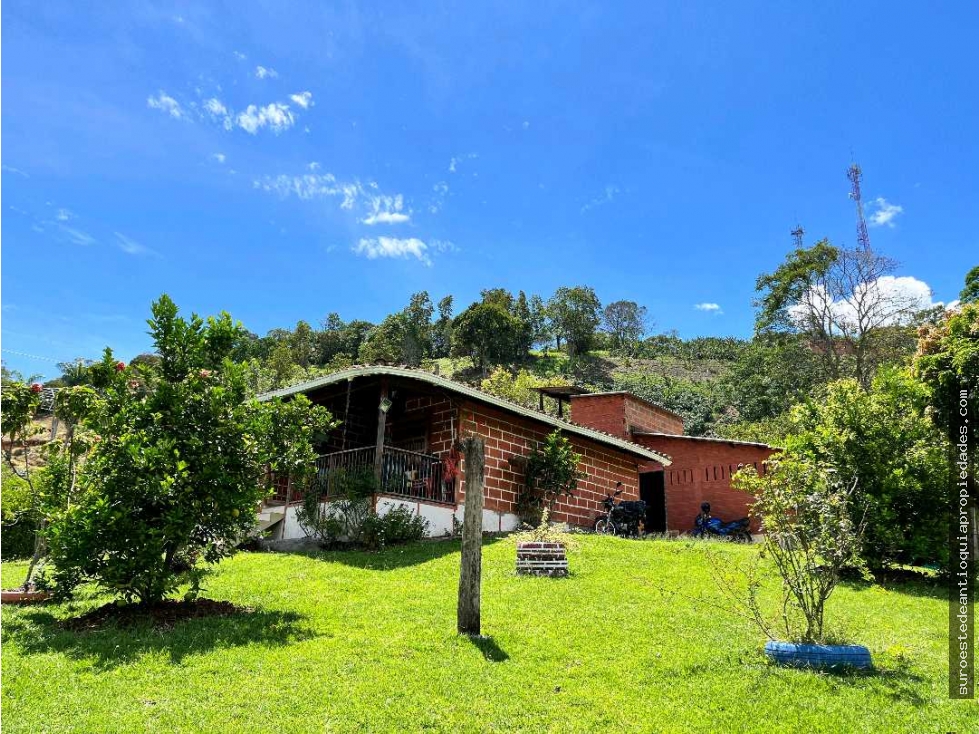 Venta de finca en Ciudad Bolívar Suroeste de Antioquia