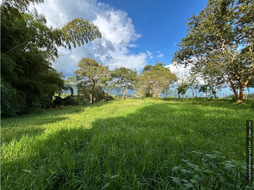 VENTA DE FINCA EN FREDONIA, SUROESTE DE ANTIOQUIA.