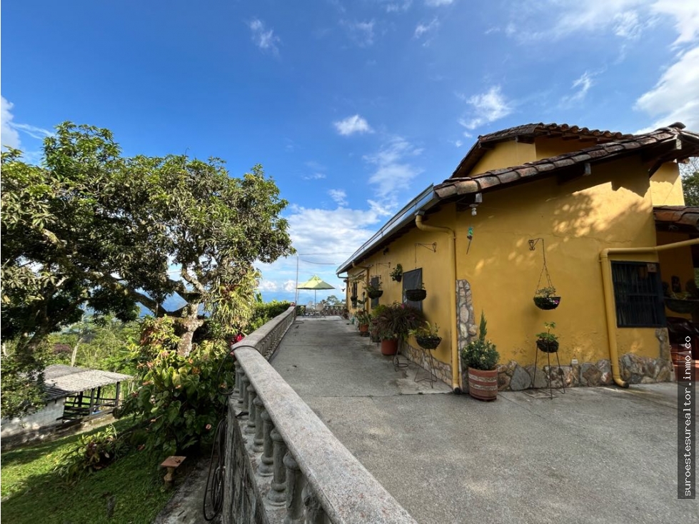VENTA DE FINCA EN FREDONIA, SUROESTE DE ANTIOQUIA.