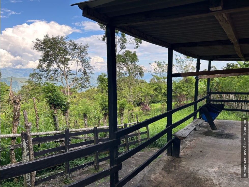 VENTA DE FINCA EN FREDONIA, SUROESTE DE ANTIOQUIA.