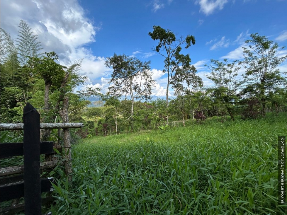VENTA DE FINCA EN FREDONIA, SUROESTE DE ANTIOQUIA.