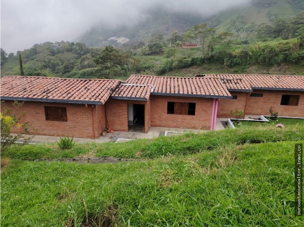 Venta de finca en Fredonia Antioquia