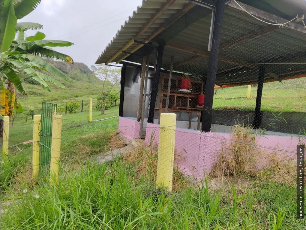 Venta de finca en Fredonia Antioquia
