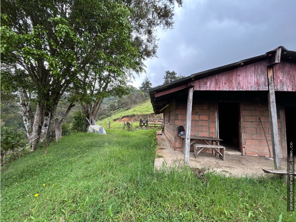 Venta de finca en Fredonia suroeste de Antioquia