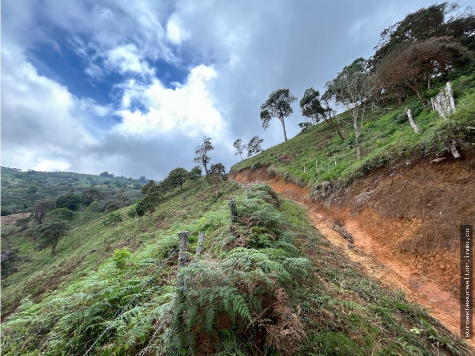 Venta de finca en Fredonia suroeste de Antioquia
