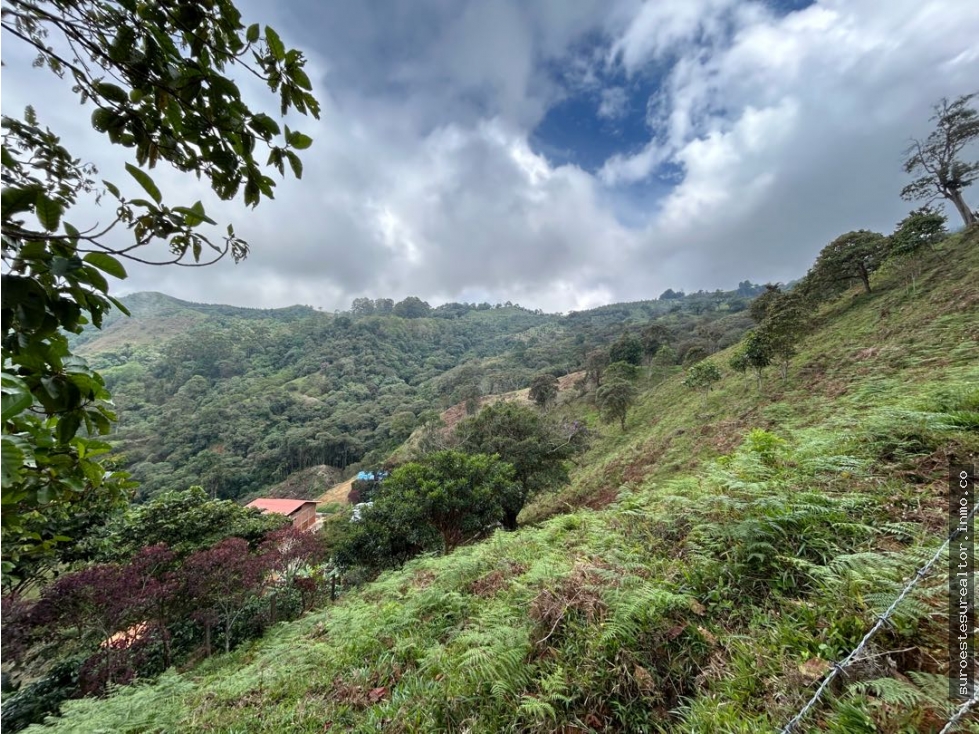 Venta de finca en Fredonia suroeste de Antioquia