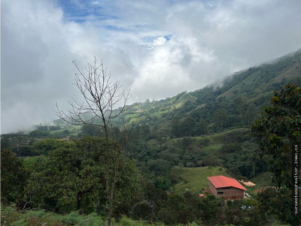 Venta de finca en Fredonia suroeste de Antioquia