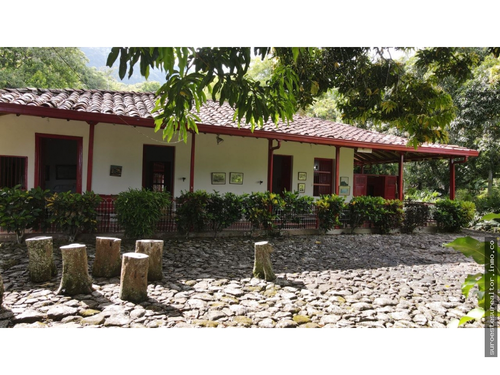 VENTA DE FINCA EN FREDONIA, SUROESTE ANTIOQUEÑO