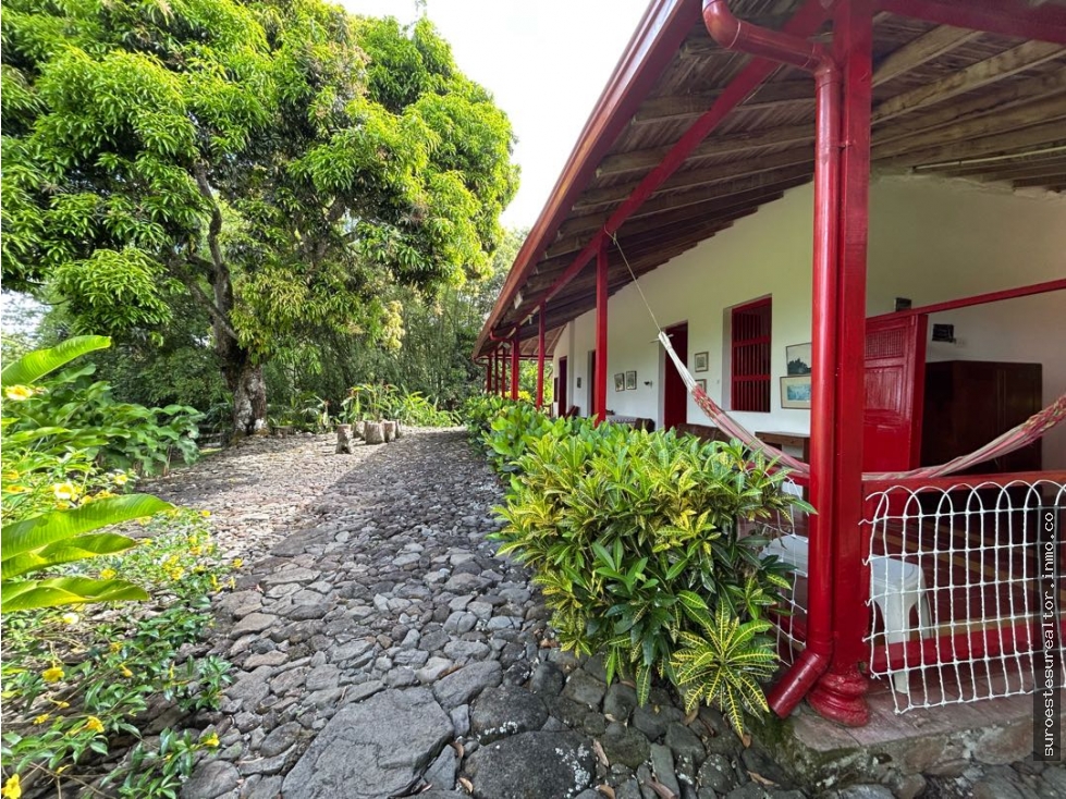 VENTA DE FINCA EN FREDONIA, SUROESTE ANTIOQUEÑO
