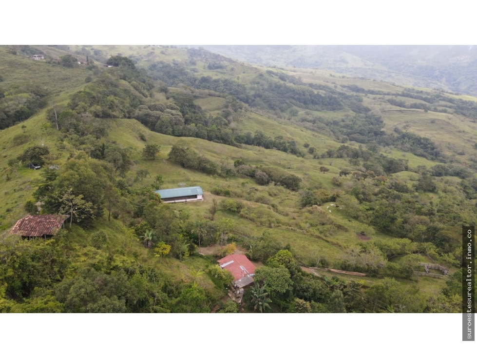 VENTA DE FINCA EN FREDONIA SUROESTE ANTIOQUEÑO
