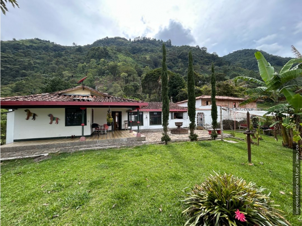 VENTA DE FINCA EN FREDONIA SUROESTE DE ANTIOQUIA