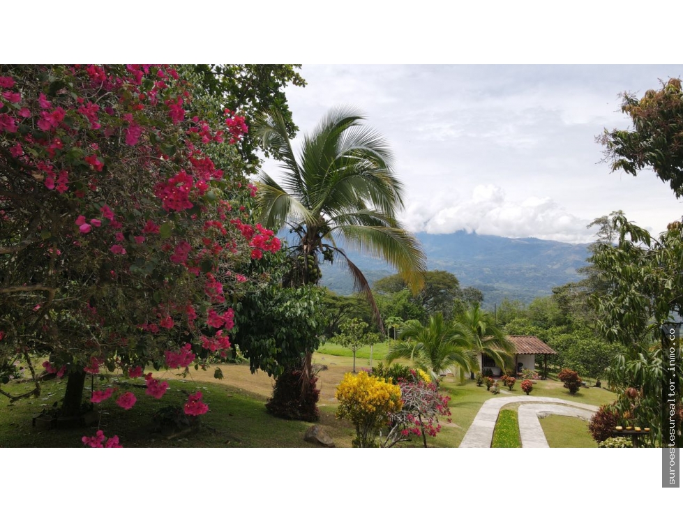 VENTA DE FINCA EN FREDONIA SUROESTE DE ANTIOQUIA