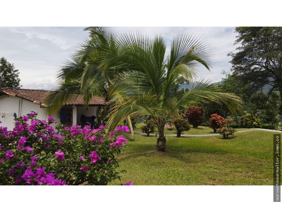 VENTA DE FINCA EN FREDONIA SUROESTE DE ANTIOQUIA