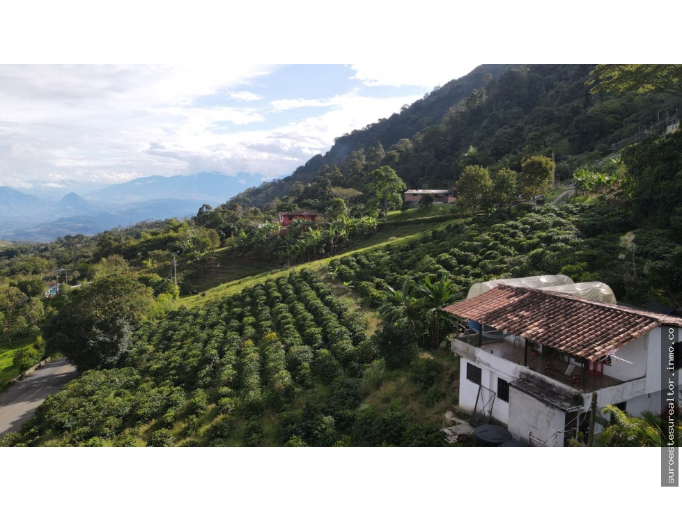 VENTA DE FINCA EN FREDONIA SUROESTE ANTIOQUEÑO