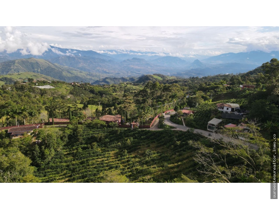 VENTA DE FINCA EN FREDONIA SUROESTE ANTIOQUEÑO