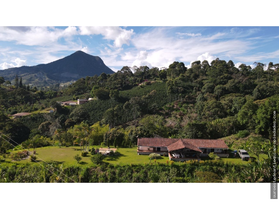 Venta de finca en Fredonia suroeste de Antioquia