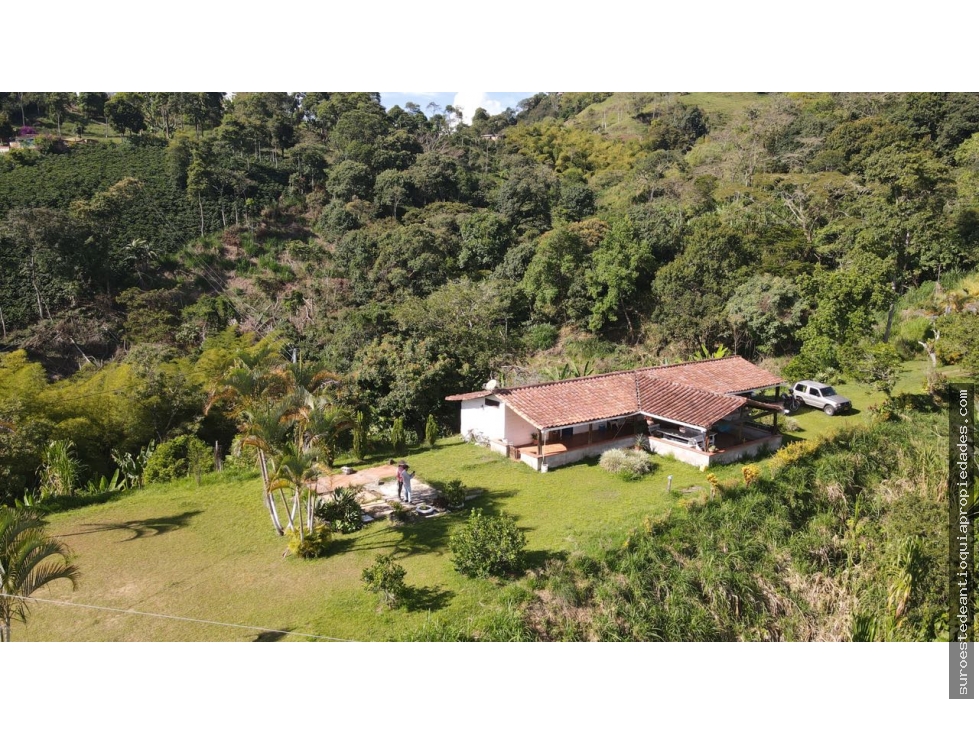 Venta de finca en Fredonia suroeste de Antioquia