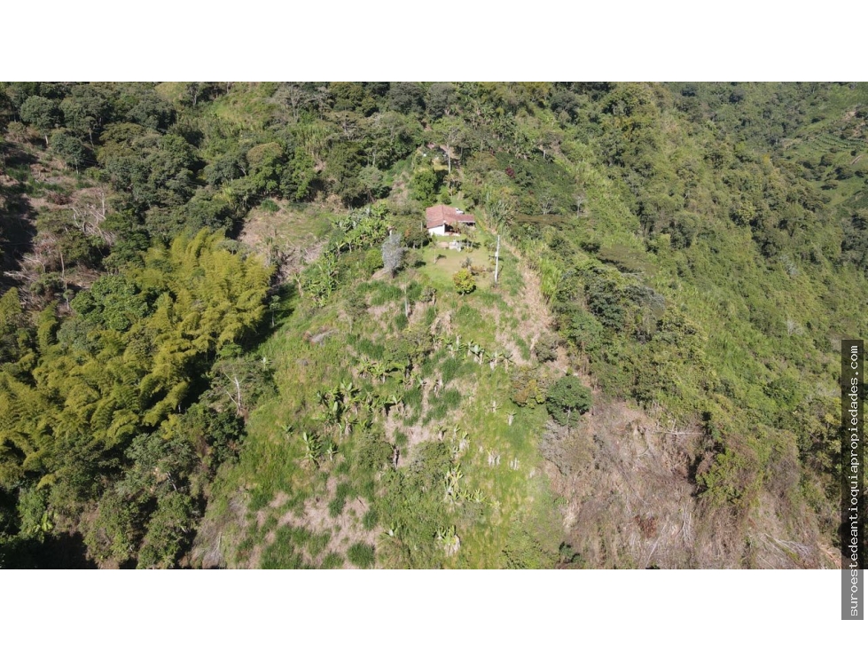 Venta de finca en Fredonia suroeste de Antioquia
