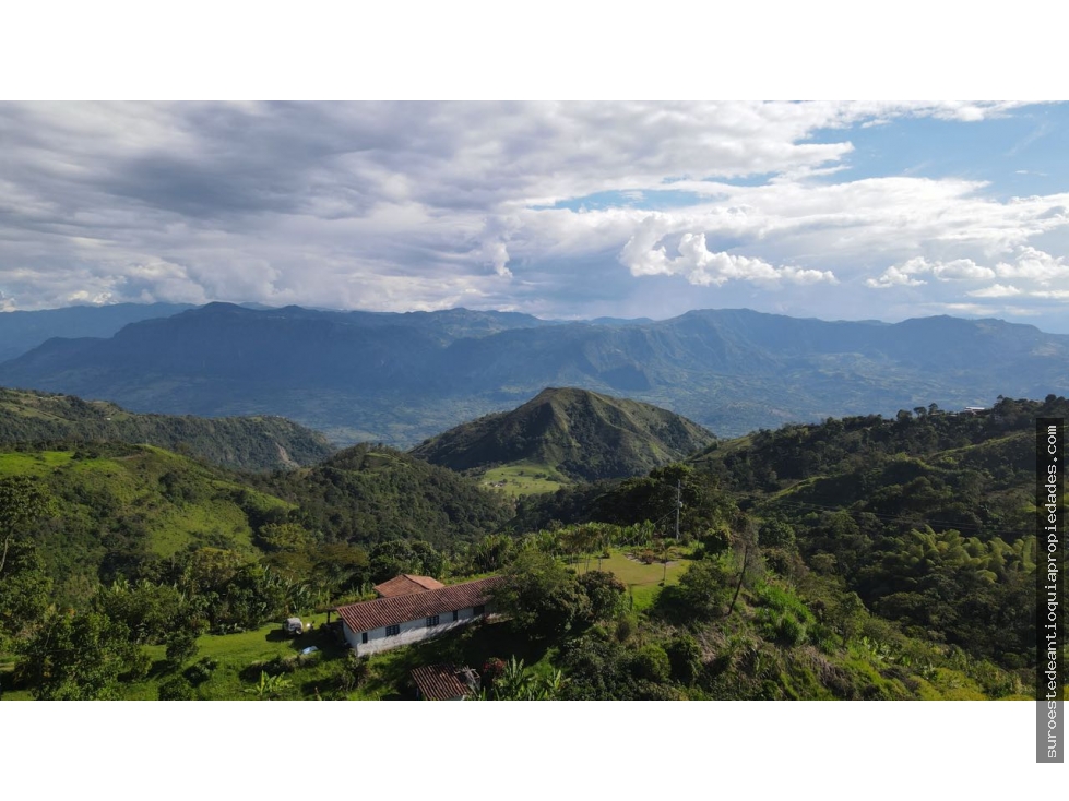 Venta de finca en Fredonia suroeste de Antioquia