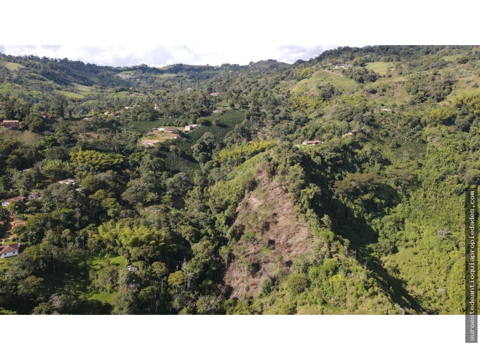 Venta de finca en Fredonia suroeste de Antioquia