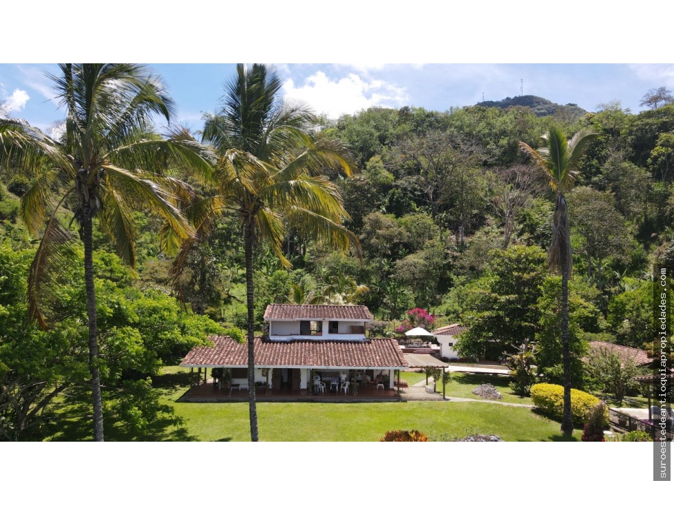 Venta de finca en Fredonia suroeste de Antioquia