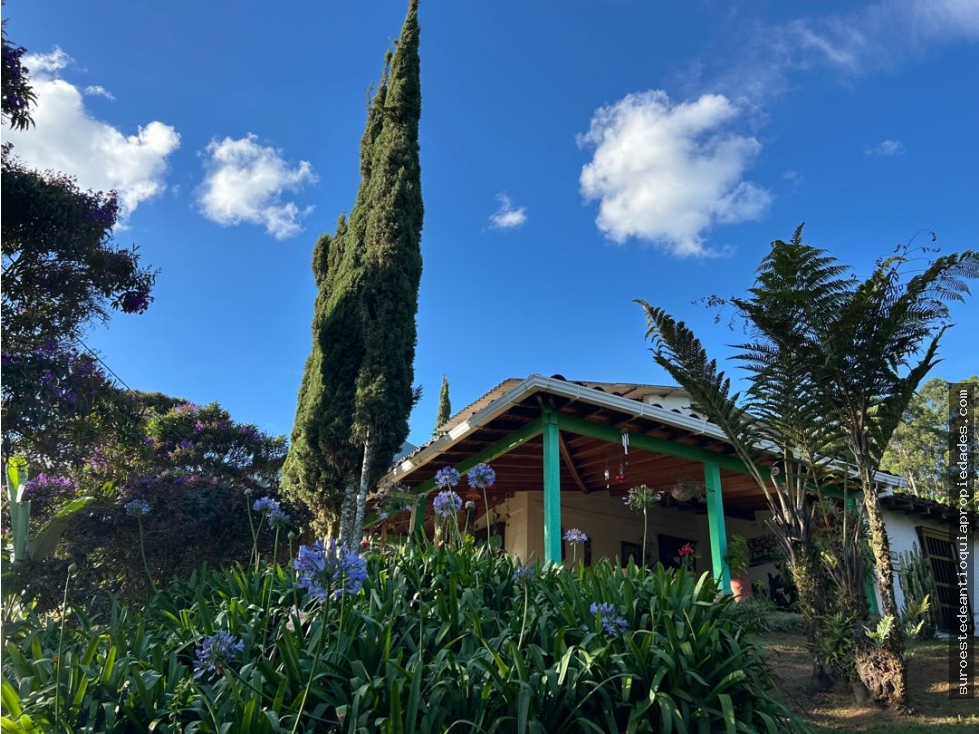 Venta de finca en Fredonia suroeste de Antioquia