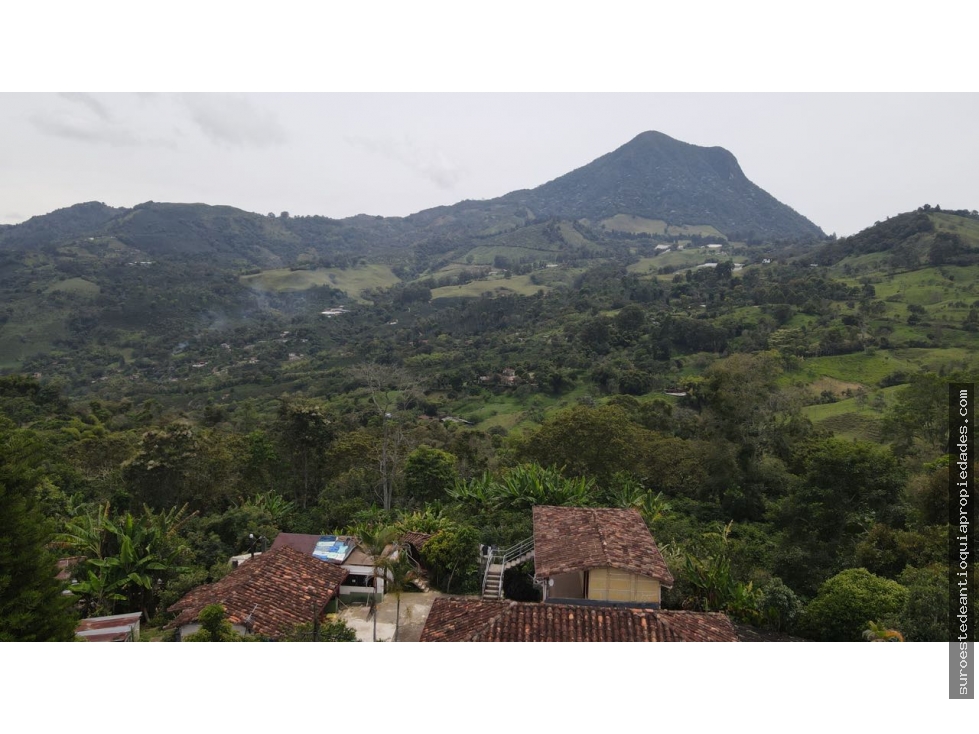 Venta de finca en Fredonia suroeste de Antioquia