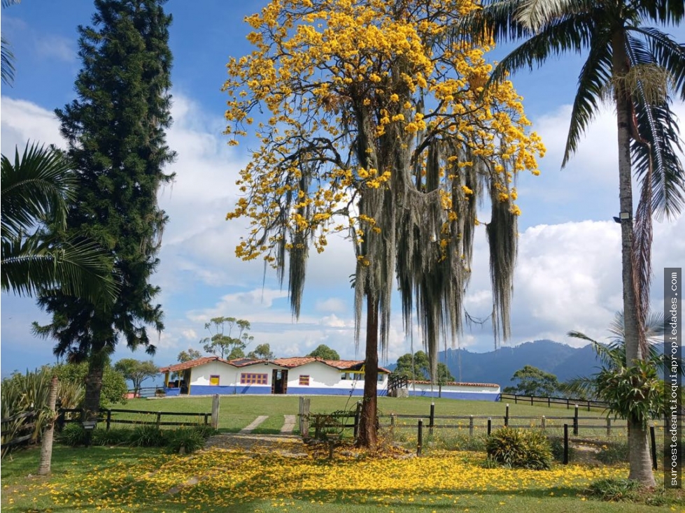Venta de finca en Fredonia suroeste de Antioquia