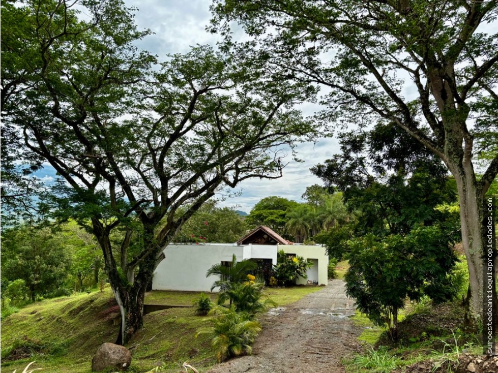 VENTA DE FINCA EN JERICO SUROESTE DE ANTIOQUIA.