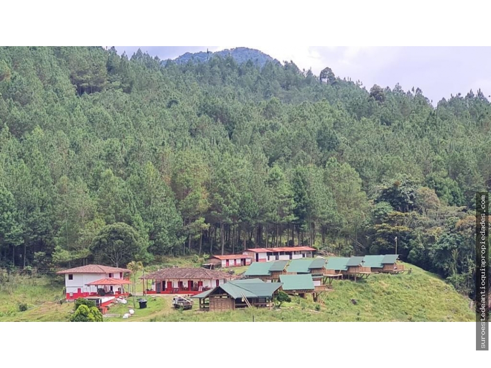 Venta de finca en Jérico suroeste de Antioquia