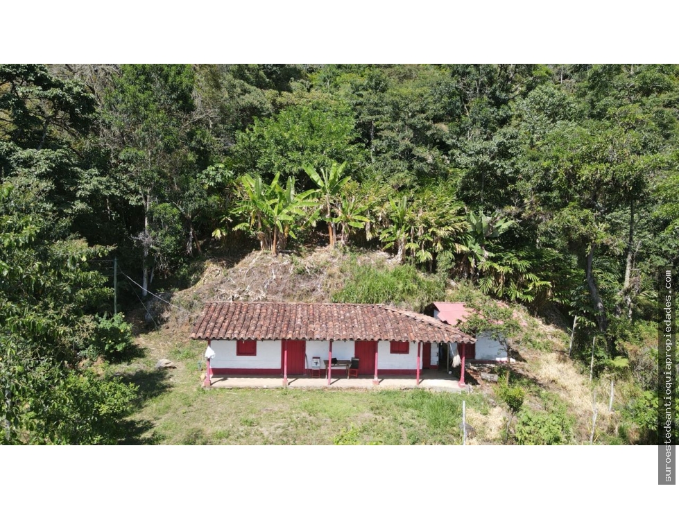 Venta de finca en Jérico suroeste de Antioquia
