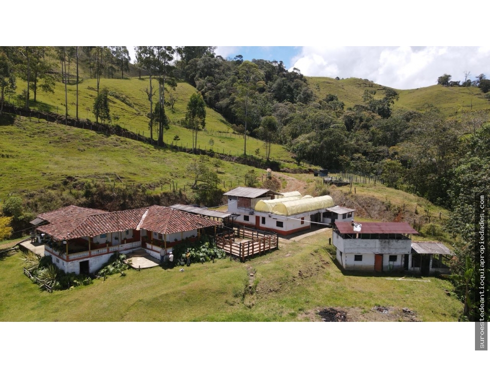 Venta de finca en Jérico suroeste de Antioquia