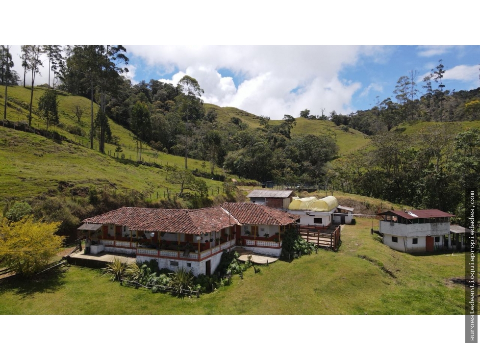 Venta de finca en Jérico suroeste de Antioquia