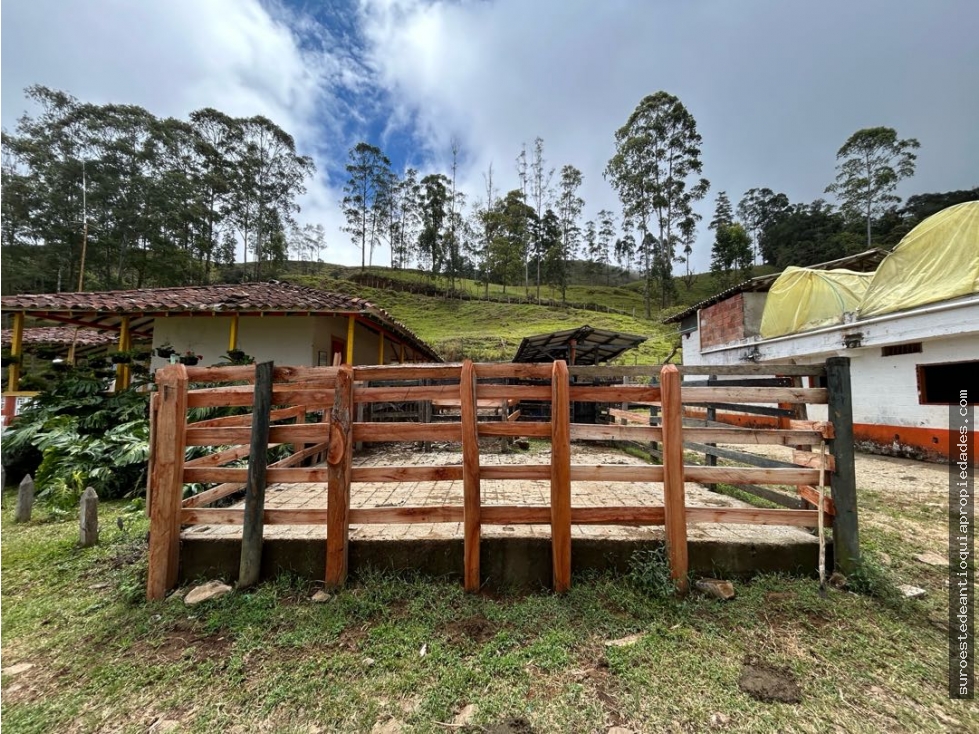 Venta de finca en Jérico suroeste de Antioquia