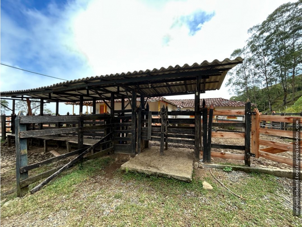 Venta de finca en Jérico suroeste de Antioquia