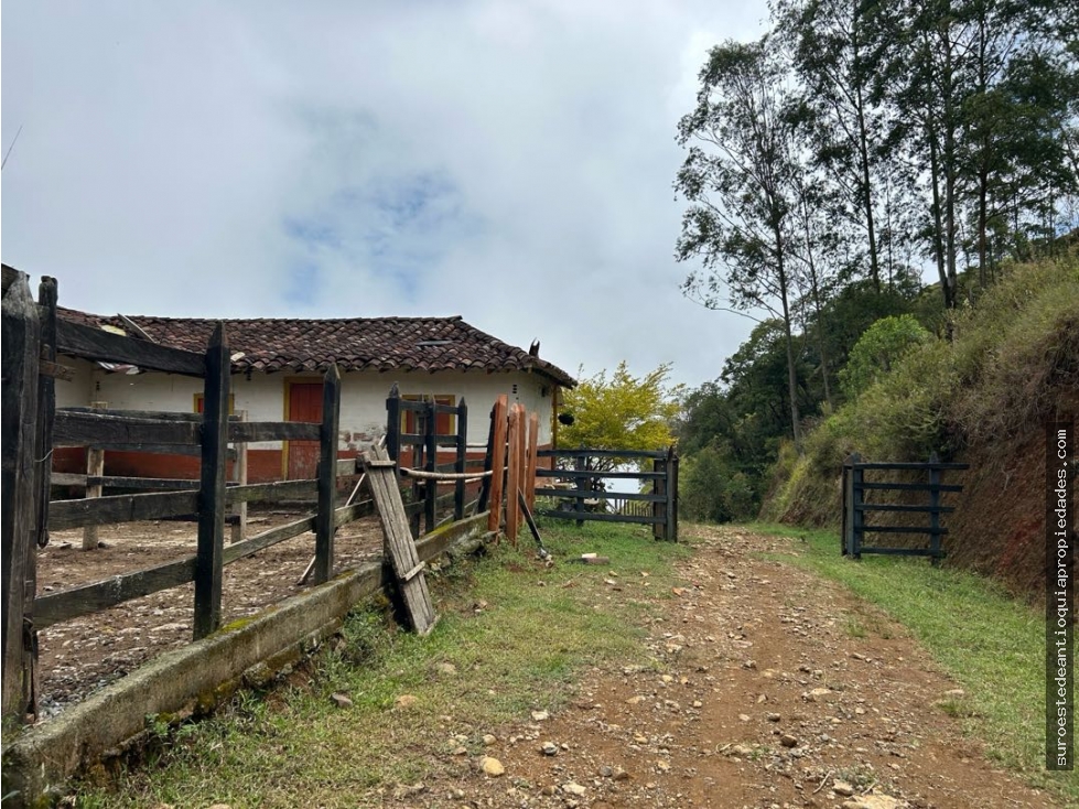 Venta de finca en Jérico suroeste de Antioquia