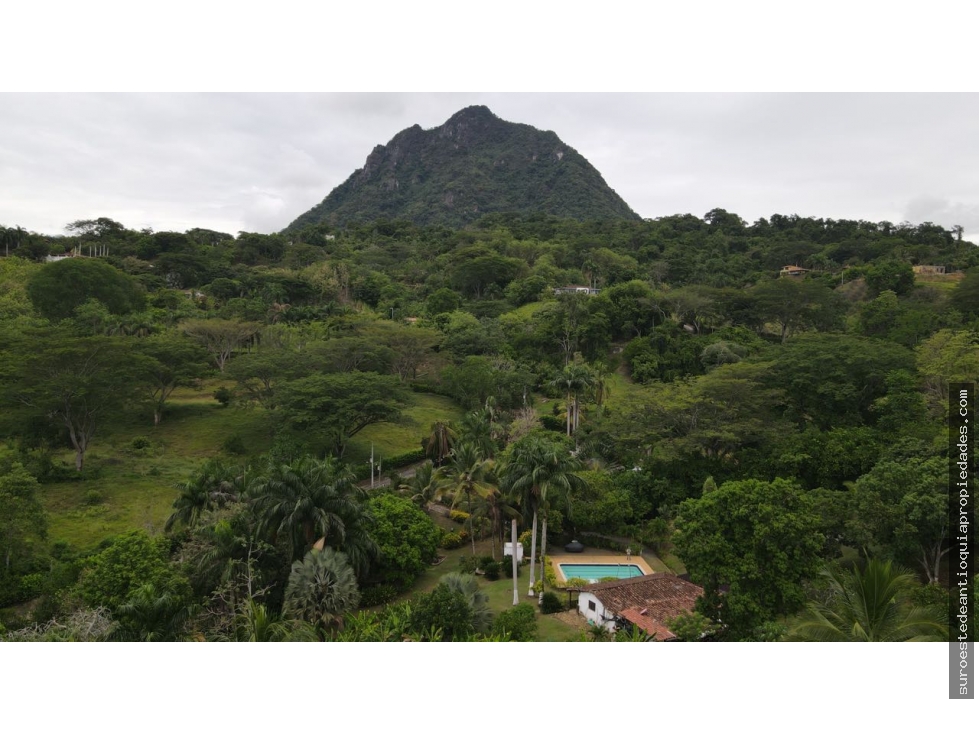 Venta de finca en la pintada suroeste de Antioquia