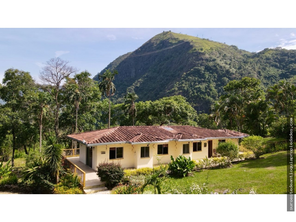 VENTA DE FINCA EN MARSELLA, SUROESTE DE ANTIOQUIA.
