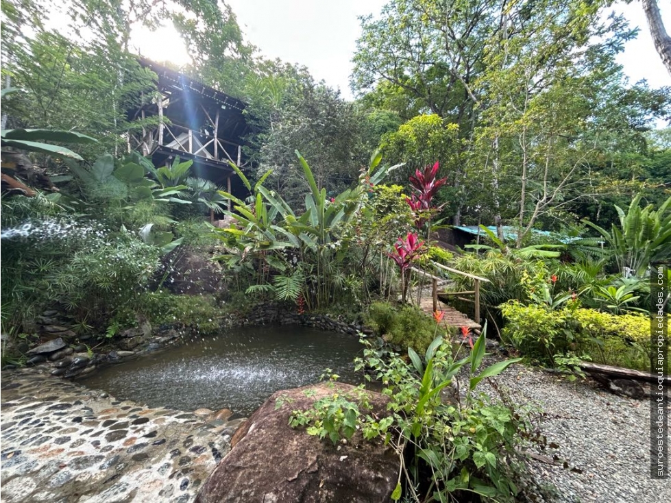 Venta de finca en tamesis suroeste de Antioquia