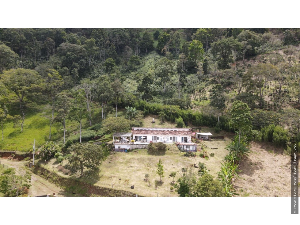 VENTA DE FINCA EN TARSO SUROESTE ANTIOQUEÑO