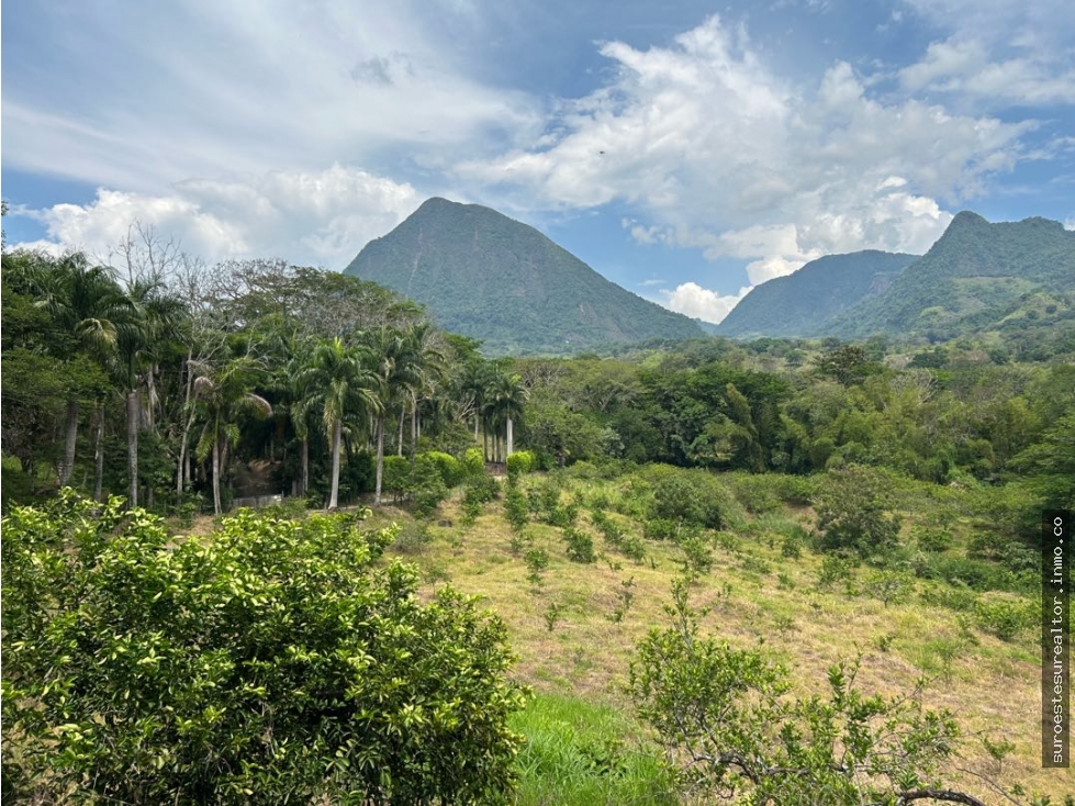 VENTA DE FINCA EN VENECIA SUROESTE ANTIOQUEÑO