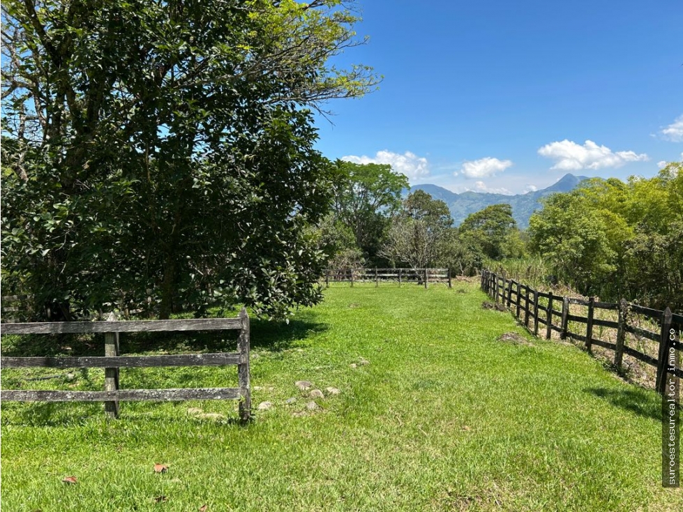 Venta de finca en venecia suroeste de Antioquia
