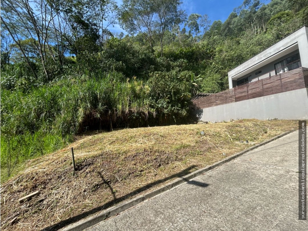Venta de lote en amaga suroeste de Antioquia
