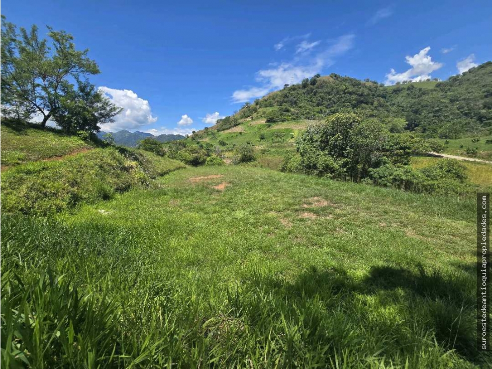 Venta de lote en Bolombolo Suroeste de Antioquia