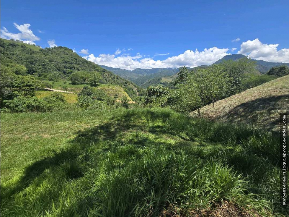 Venta de lote en Bolombolo Suroeste de Antioquia