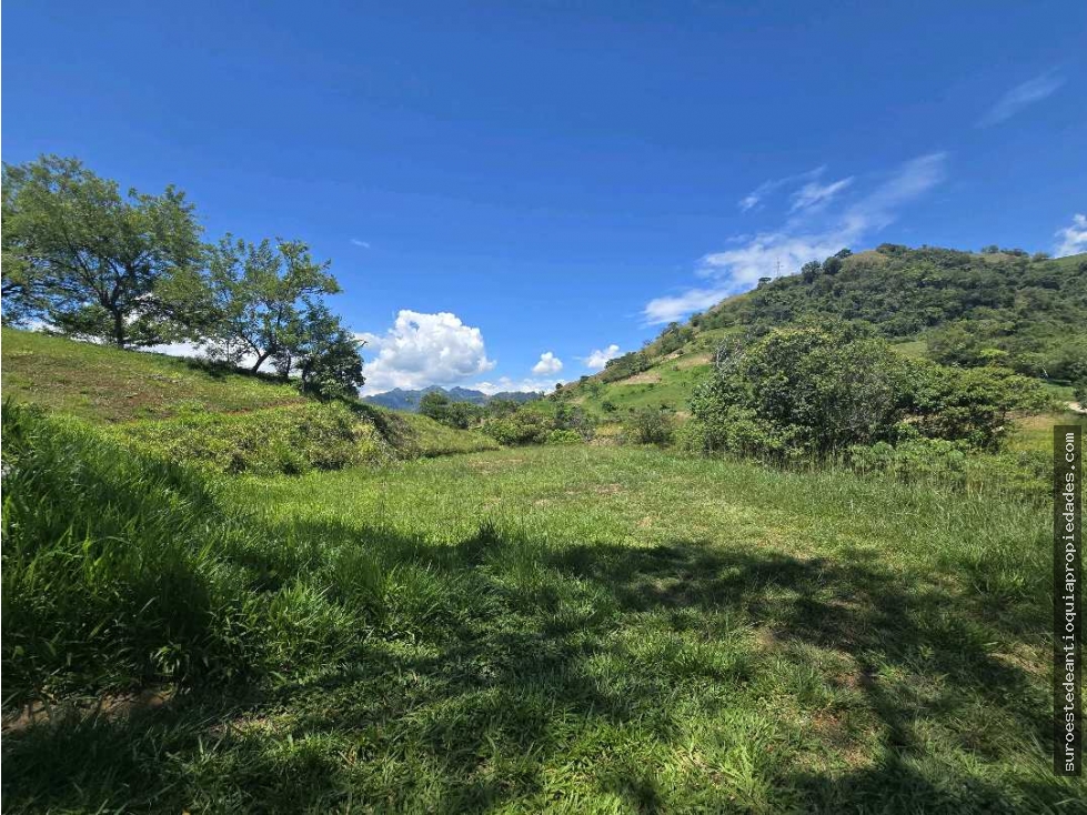 Venta de lote en Bolombolo Suroeste de Antioquia